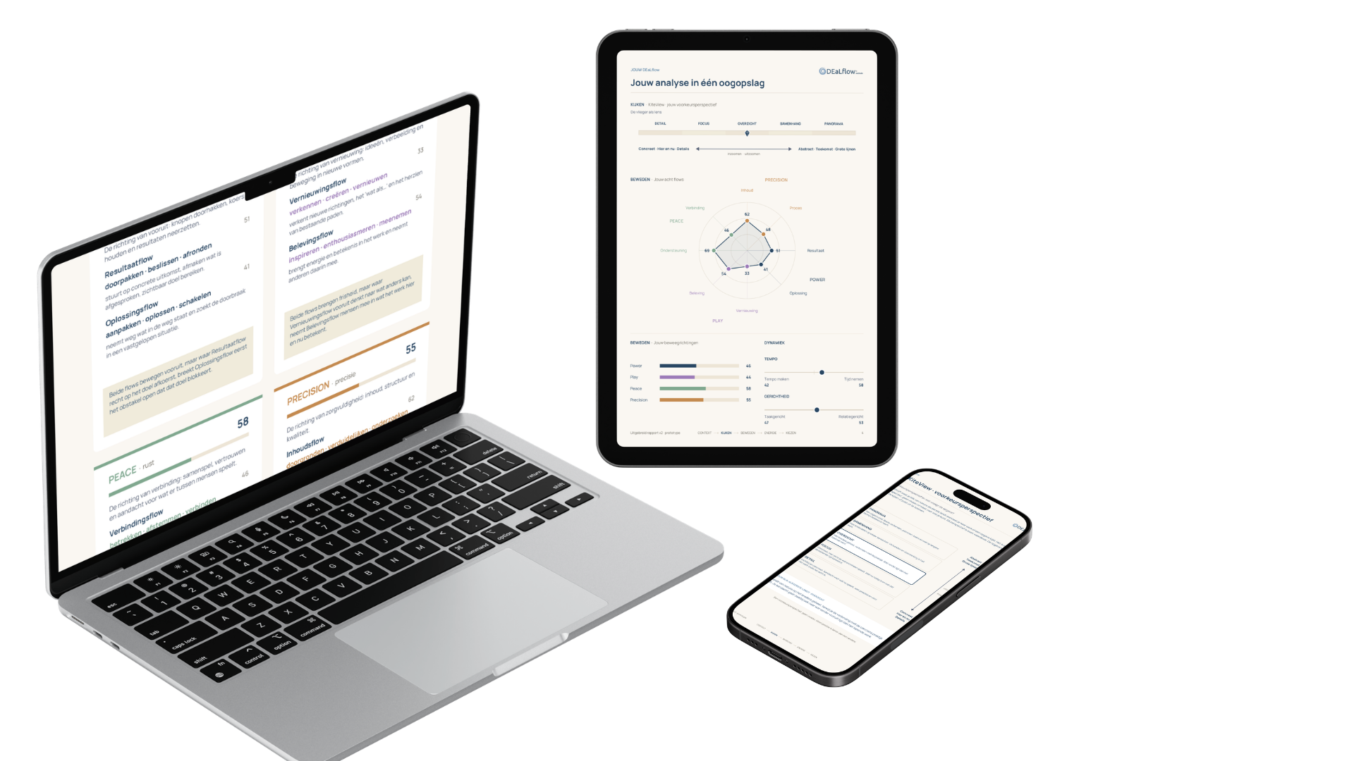 DEaLflow Analyse rapport op laptop, tablet en telefoon