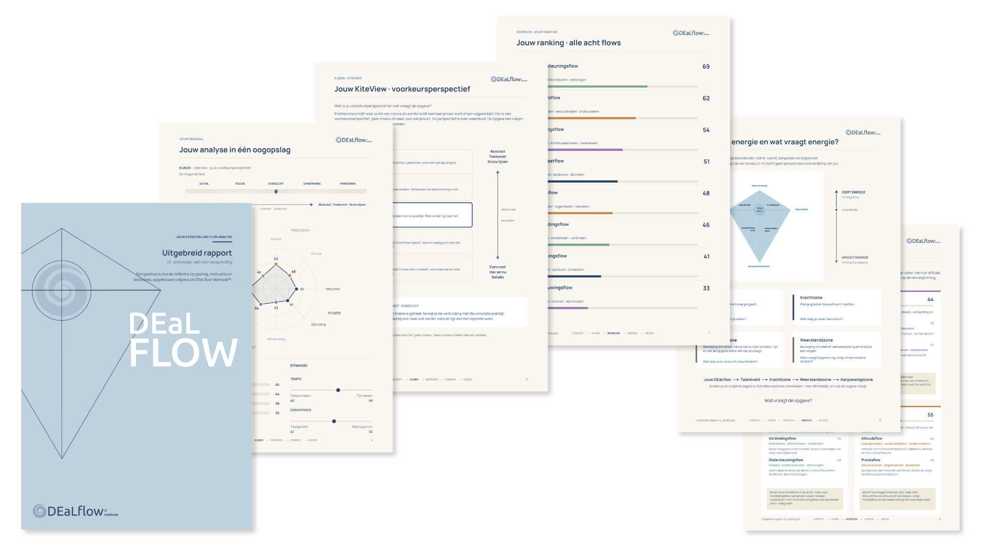 DEaLflow sample report pages