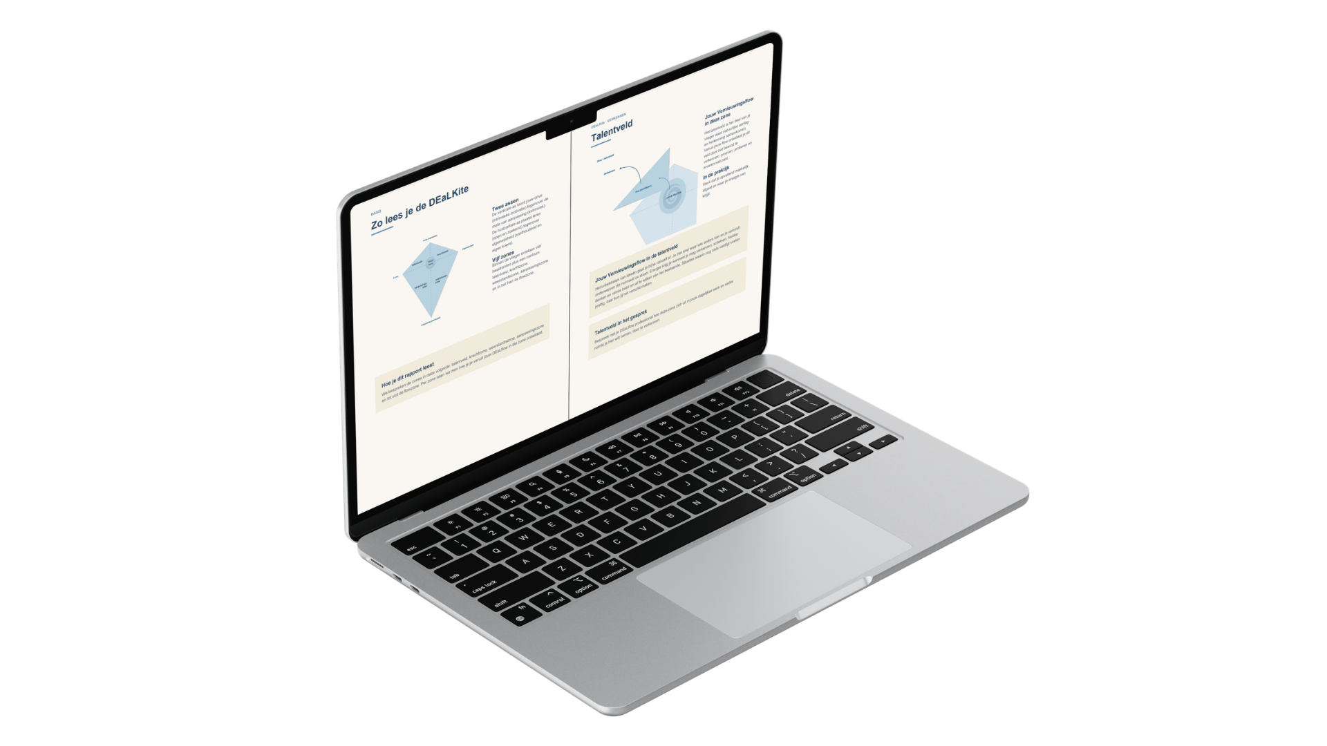 DEaLflow rapportpagina's met de DEaLKite op een laptop