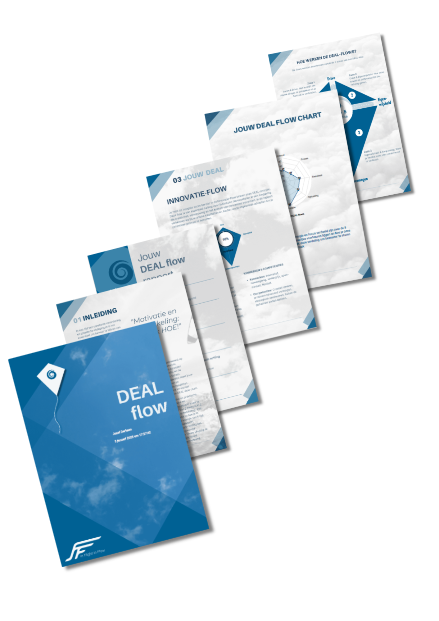 DEaLflow voorbeeldrapport pagina's